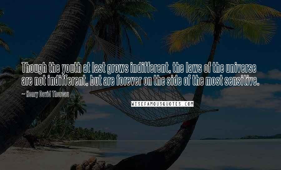 Henry David Thoreau Quotes: Though the youth at last grows indifferent, the laws of the universe are not indifferent, but are forever on the side of the most sensitive.