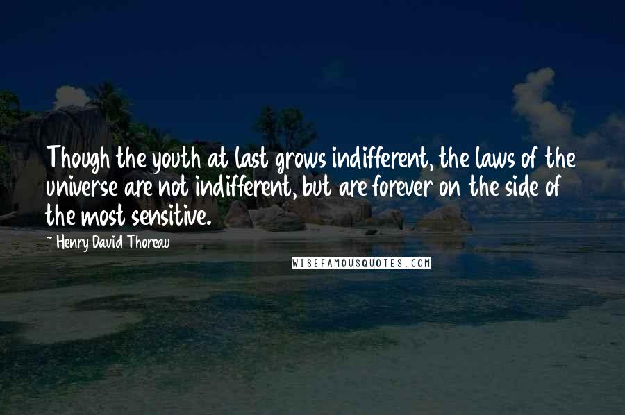 Henry David Thoreau Quotes: Though the youth at last grows indifferent, the laws of the universe are not indifferent, but are forever on the side of the most sensitive.