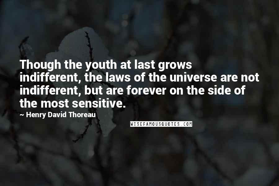 Henry David Thoreau Quotes: Though the youth at last grows indifferent, the laws of the universe are not indifferent, but are forever on the side of the most sensitive.