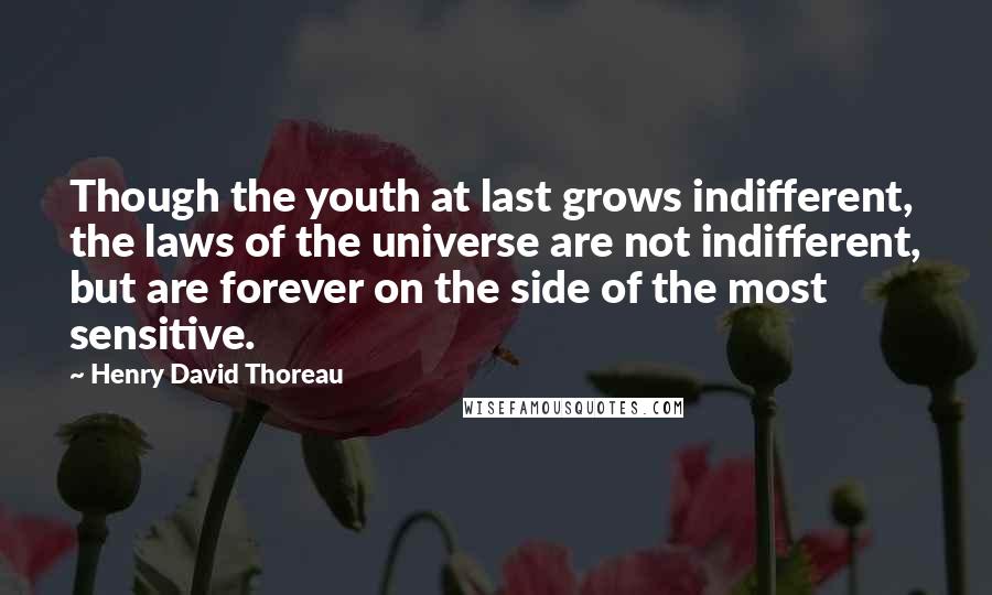 Henry David Thoreau Quotes: Though the youth at last grows indifferent, the laws of the universe are not indifferent, but are forever on the side of the most sensitive.