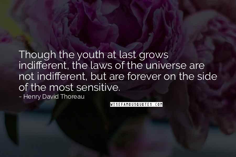 Henry David Thoreau Quotes: Though the youth at last grows indifferent, the laws of the universe are not indifferent, but are forever on the side of the most sensitive.