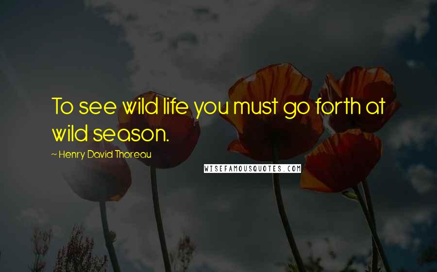 Henry David Thoreau Quotes: To see wild life you must go forth at wild season.