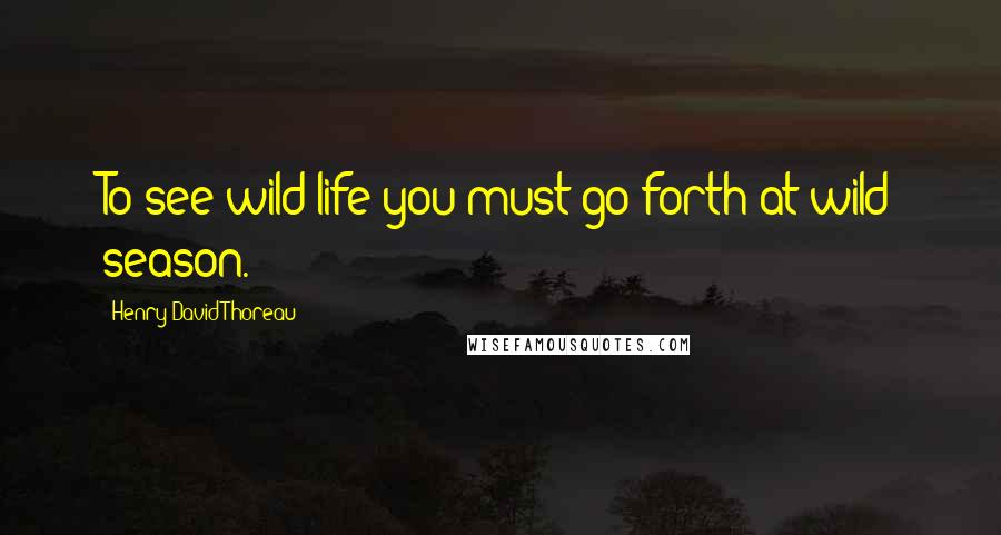 Henry David Thoreau Quotes: To see wild life you must go forth at wild season.
