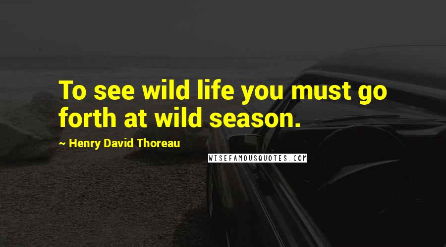 Henry David Thoreau Quotes: To see wild life you must go forth at wild season.