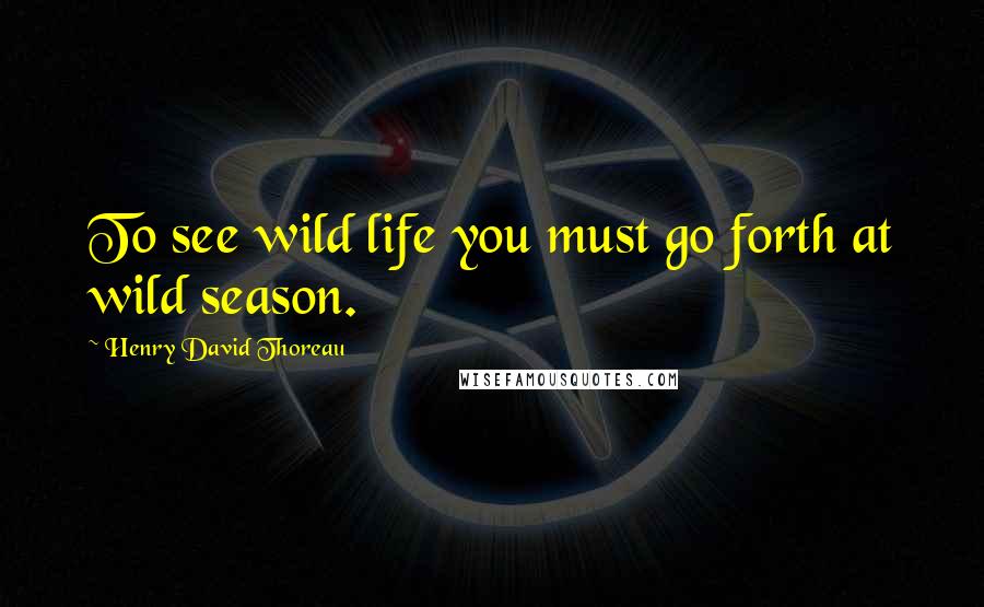 Henry David Thoreau Quotes: To see wild life you must go forth at wild season.