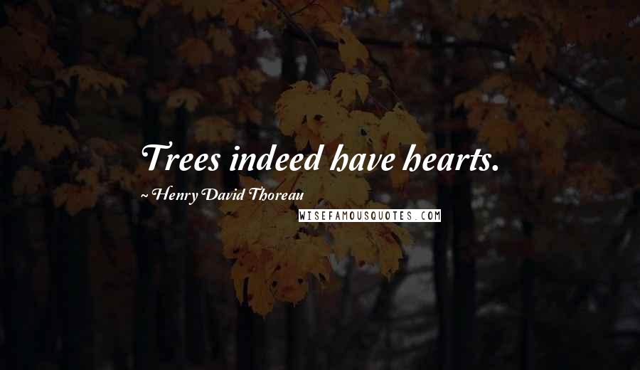 Henry David Thoreau Quotes: Trees indeed have hearts.