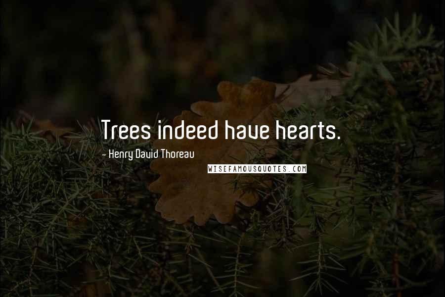 Henry David Thoreau Quotes: Trees indeed have hearts.