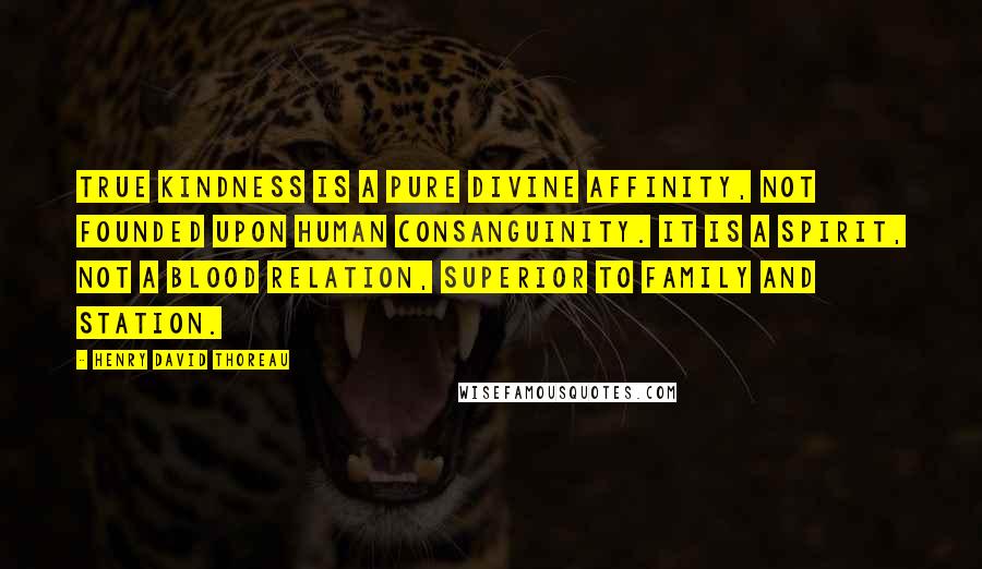 Henry David Thoreau Quotes: True kindness is a pure divine affinity, Not founded upon human consanguinity. It is a spirit, not a blood relation, Superior to family and station.