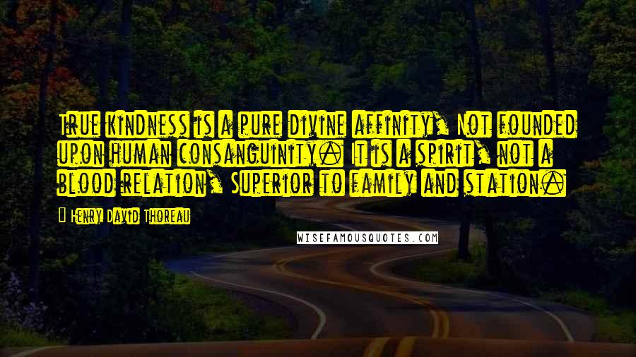 Henry David Thoreau Quotes: True kindness is a pure divine affinity, Not founded upon human consanguinity. It is a spirit, not a blood relation, Superior to family and station.