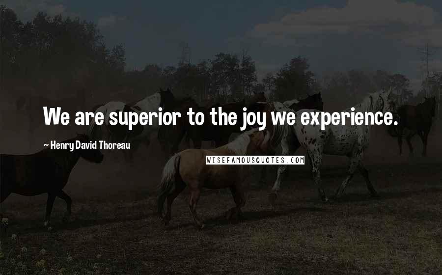 Henry David Thoreau Quotes: We are superior to the joy we experience.