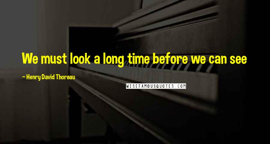 Henry David Thoreau Quotes: We must look a long time before we can see