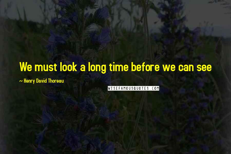 Henry David Thoreau Quotes: We must look a long time before we can see