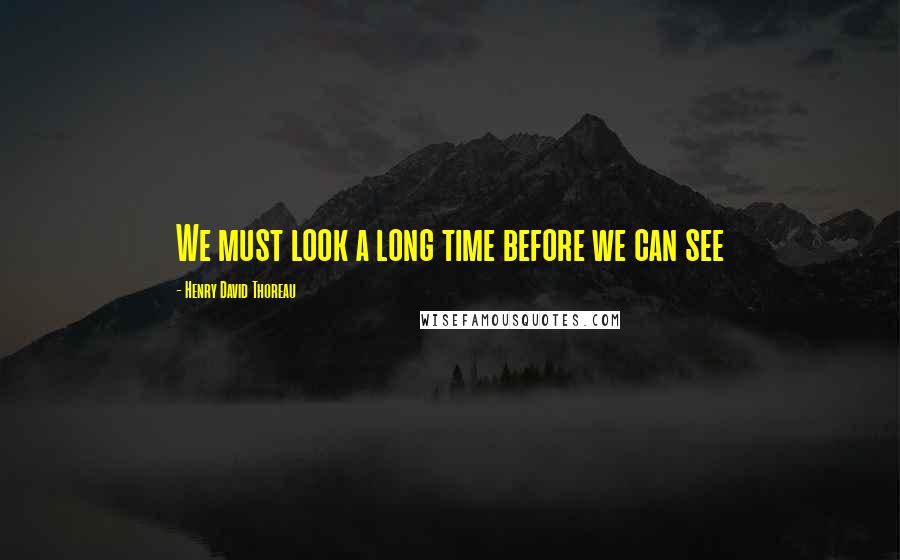 Henry David Thoreau Quotes: We must look a long time before we can see