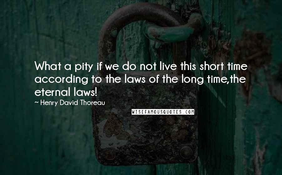 Henry David Thoreau Quotes: What a pity if we do not live this short time according to the laws of the long time,the eternal laws!