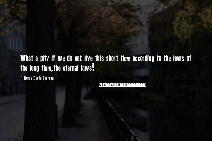Henry David Thoreau Quotes: What a pity if we do not live this short time according to the laws of the long time,the eternal laws!