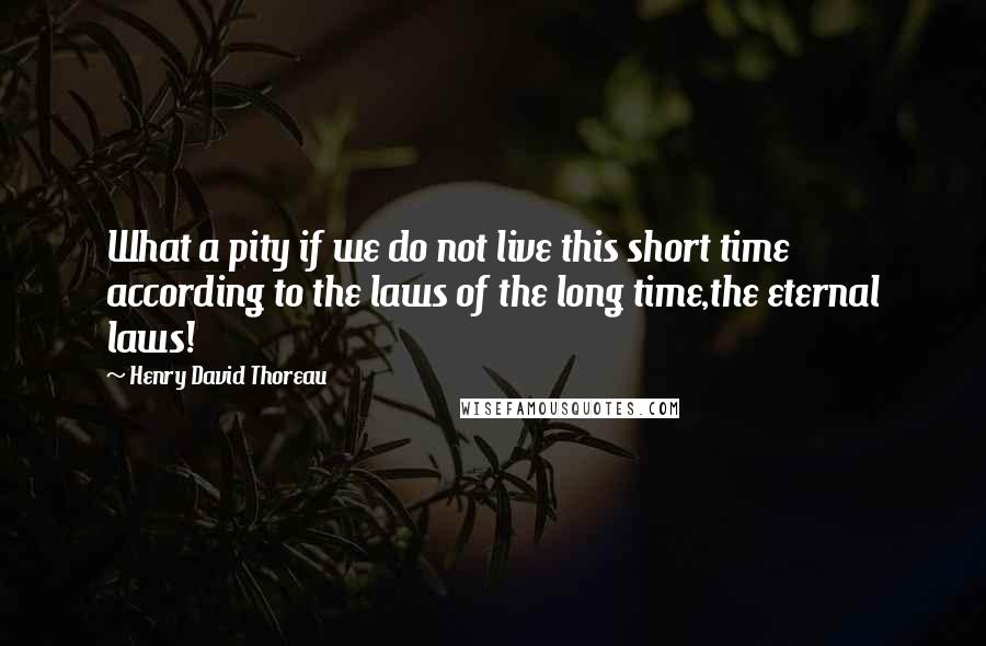 Henry David Thoreau Quotes: What a pity if we do not live this short time according to the laws of the long time,the eternal laws!