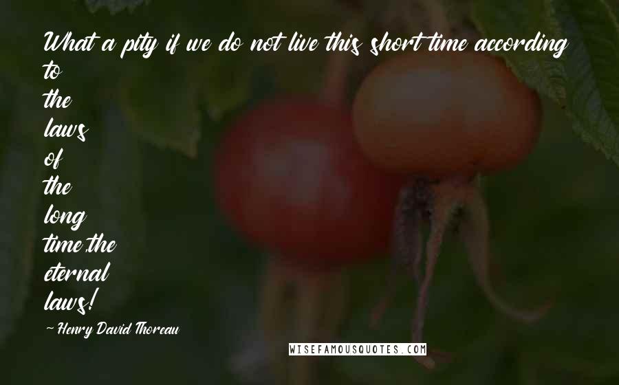 Henry David Thoreau Quotes: What a pity if we do not live this short time according to the laws of the long time,the eternal laws!