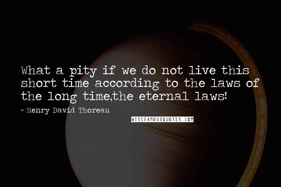 Henry David Thoreau Quotes: What a pity if we do not live this short time according to the laws of the long time,the eternal laws!