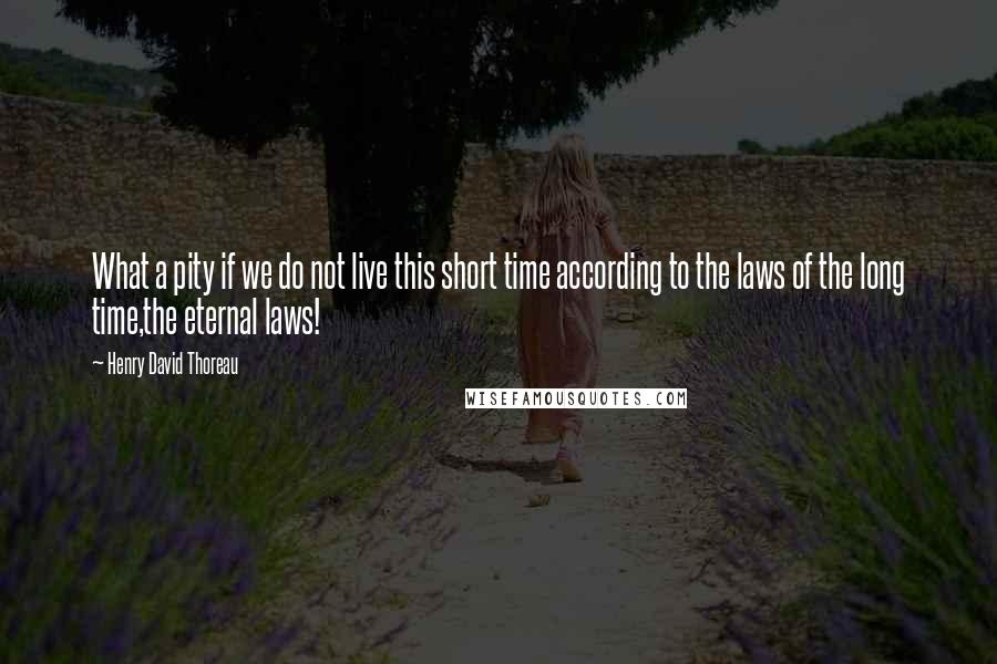 Henry David Thoreau Quotes: What a pity if we do not live this short time according to the laws of the long time,the eternal laws!