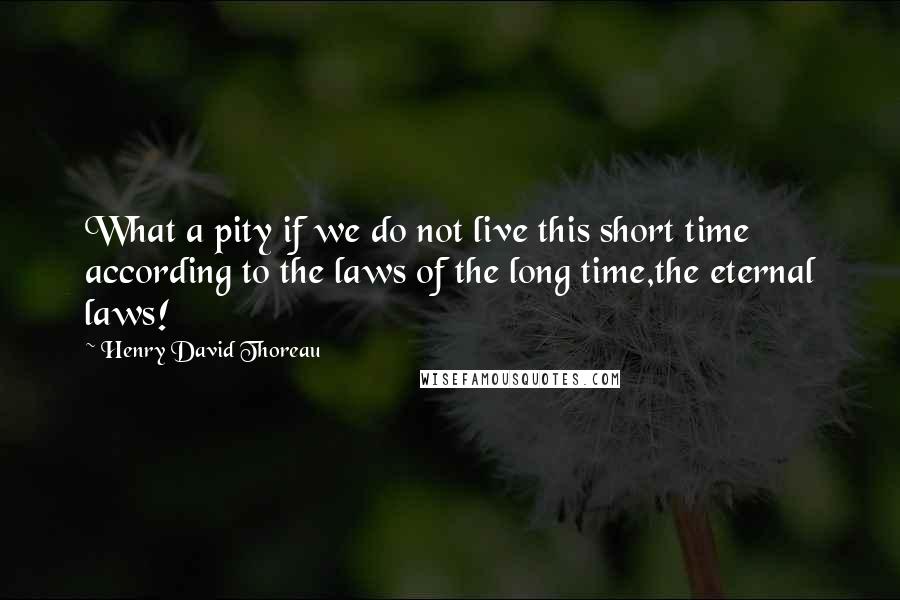 Henry David Thoreau Quotes: What a pity if we do not live this short time according to the laws of the long time,the eternal laws!