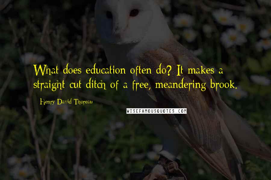 Henry David Thoreau Quotes: What does education often do? It makes a straight-cut ditch of a free, meandering brook.