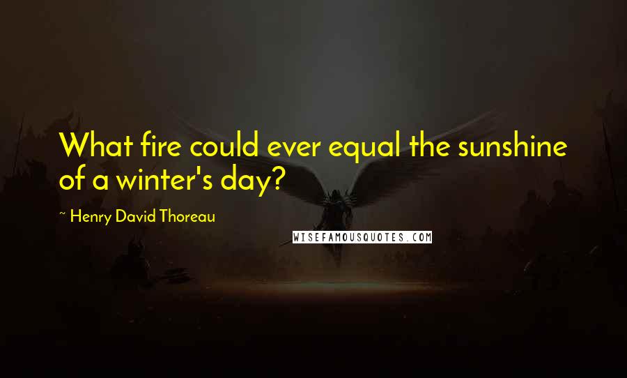 Henry David Thoreau Quotes: What fire could ever equal the sunshine of a winter's day?