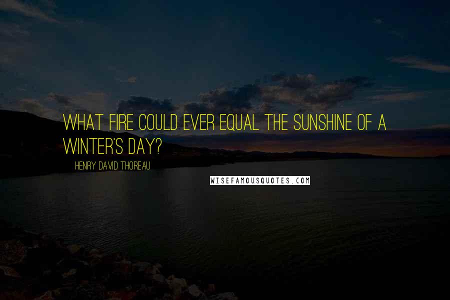 Henry David Thoreau Quotes: What fire could ever equal the sunshine of a winter's day?