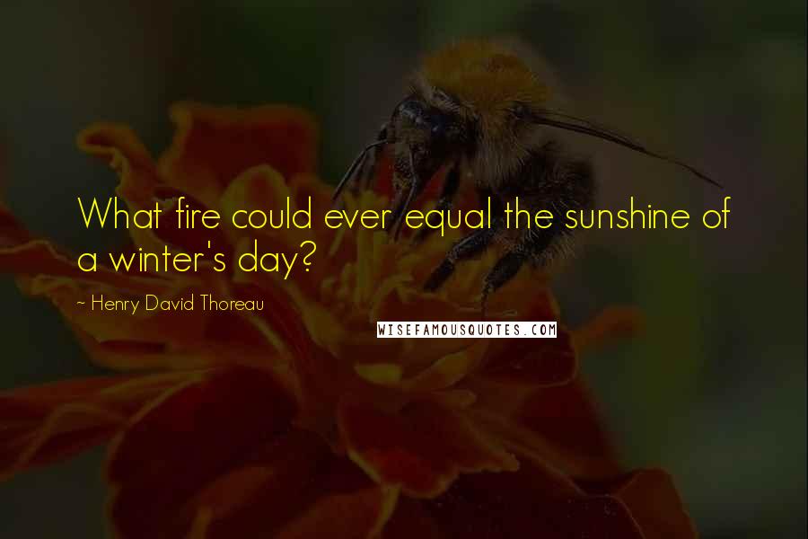 Henry David Thoreau Quotes: What fire could ever equal the sunshine of a winter's day?