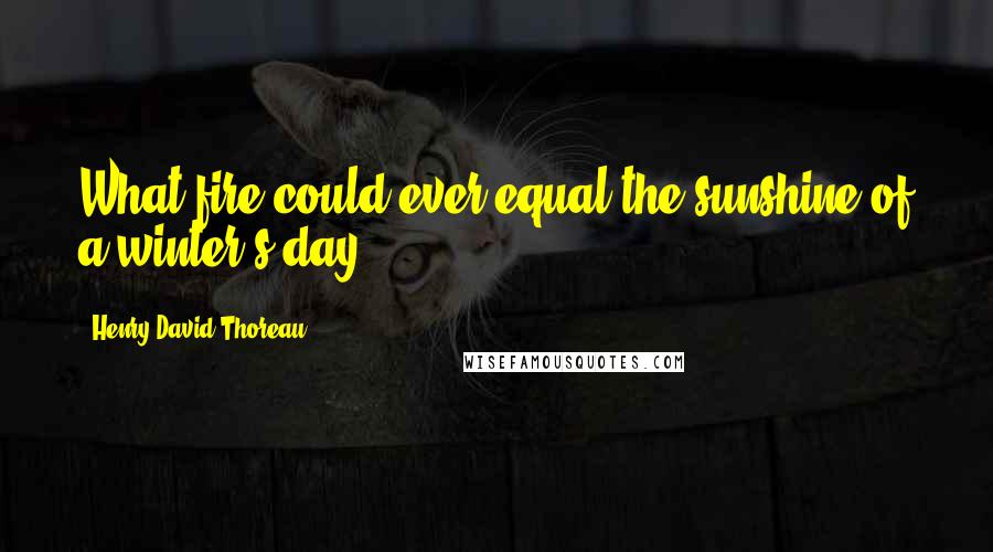 Henry David Thoreau Quotes: What fire could ever equal the sunshine of a winter's day?