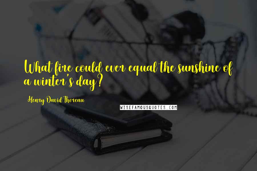 Henry David Thoreau Quotes: What fire could ever equal the sunshine of a winter's day?