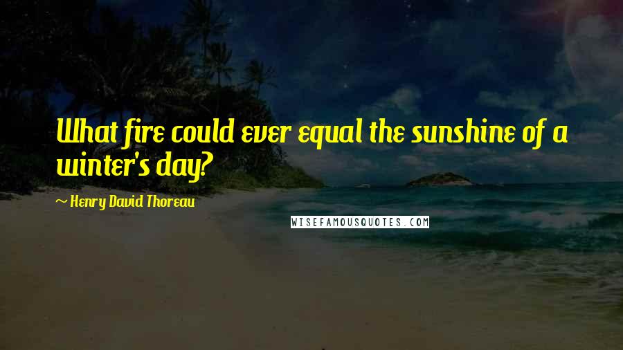 Henry David Thoreau Quotes: What fire could ever equal the sunshine of a winter's day?