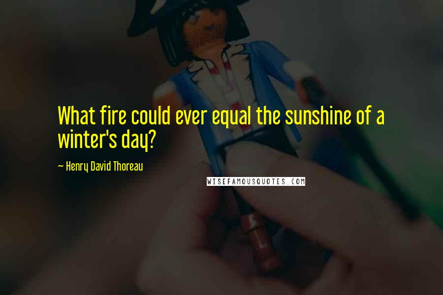 Henry David Thoreau Quotes: What fire could ever equal the sunshine of a winter's day?