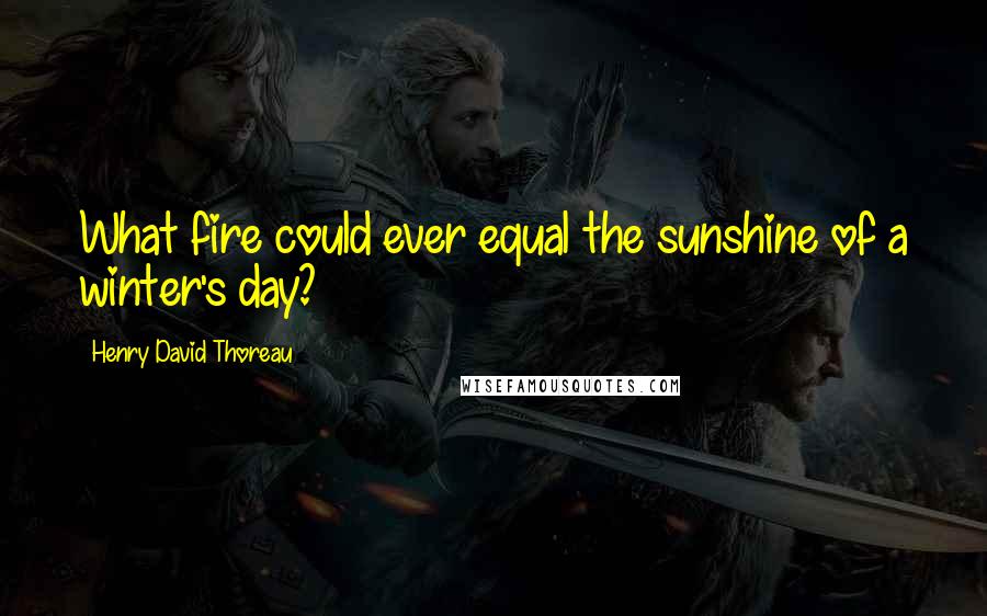 Henry David Thoreau Quotes: What fire could ever equal the sunshine of a winter's day?