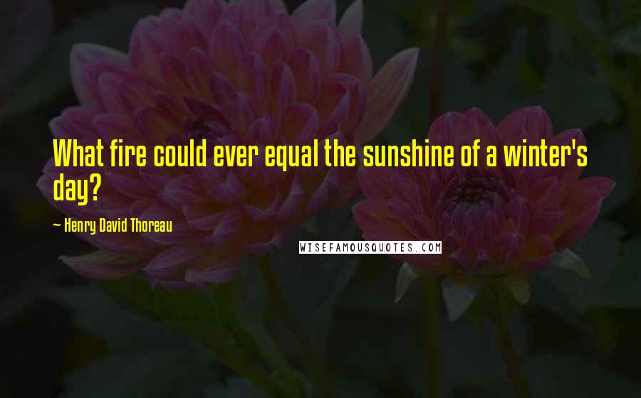 Henry David Thoreau Quotes: What fire could ever equal the sunshine of a winter's day?