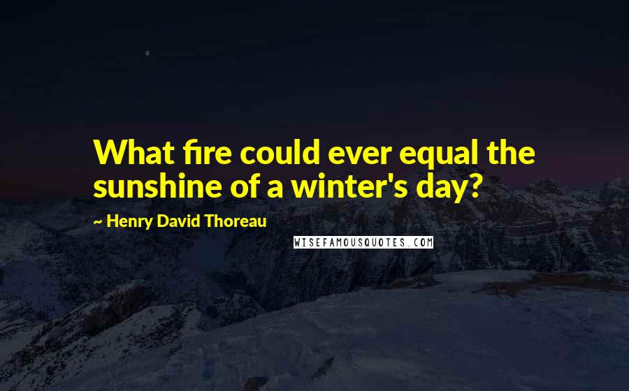 Henry David Thoreau Quotes: What fire could ever equal the sunshine of a winter's day?