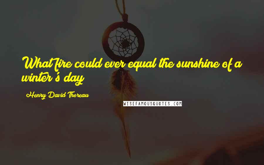 Henry David Thoreau Quotes: What fire could ever equal the sunshine of a winter's day?