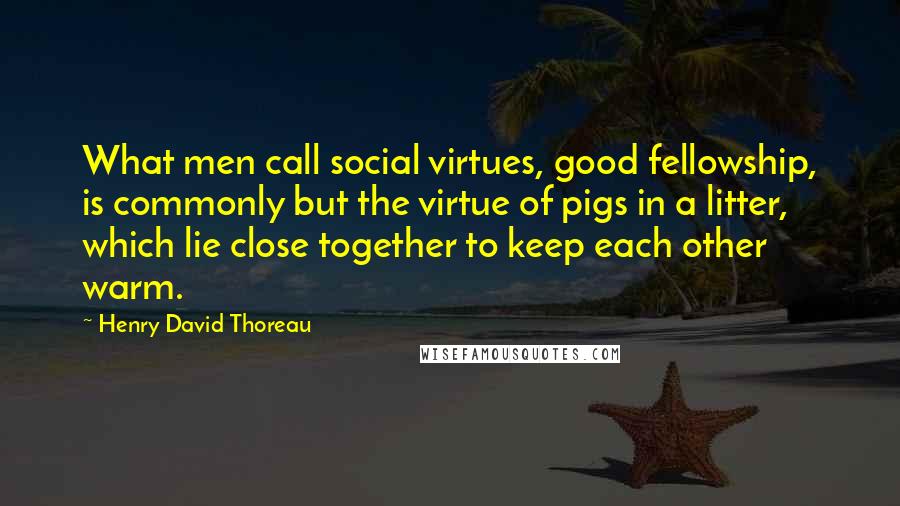 Henry David Thoreau Quotes: What men call social virtues, good fellowship, is commonly but the virtue of pigs in a litter, which lie close together to keep each other warm.