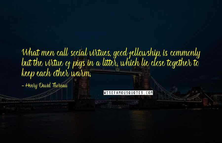 Henry David Thoreau Quotes: What men call social virtues, good fellowship, is commonly but the virtue of pigs in a litter, which lie close together to keep each other warm.