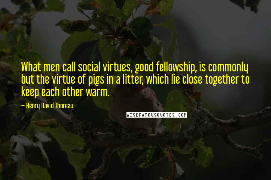 Henry David Thoreau Quotes: What men call social virtues, good fellowship, is commonly but the virtue of pigs in a litter, which lie close together to keep each other warm.