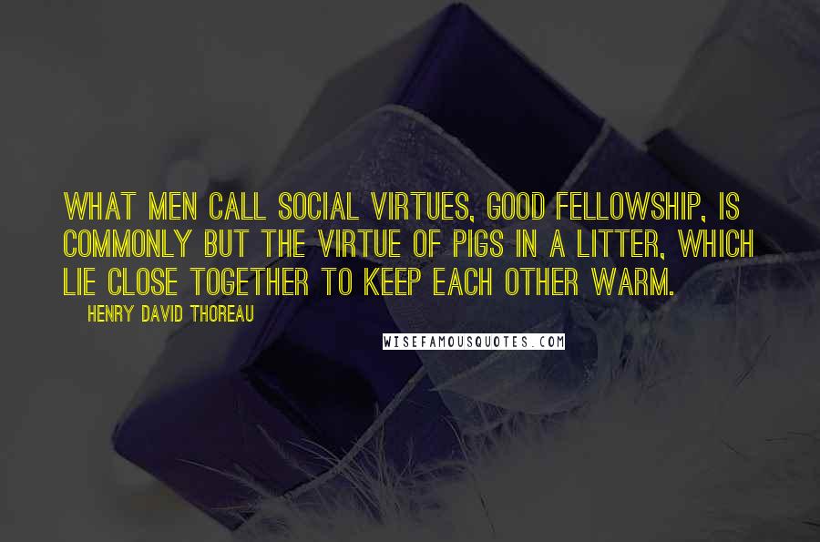 Henry David Thoreau Quotes: What men call social virtues, good fellowship, is commonly but the virtue of pigs in a litter, which lie close together to keep each other warm.