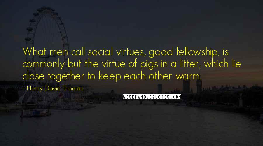 Henry David Thoreau Quotes: What men call social virtues, good fellowship, is commonly but the virtue of pigs in a litter, which lie close together to keep each other warm.