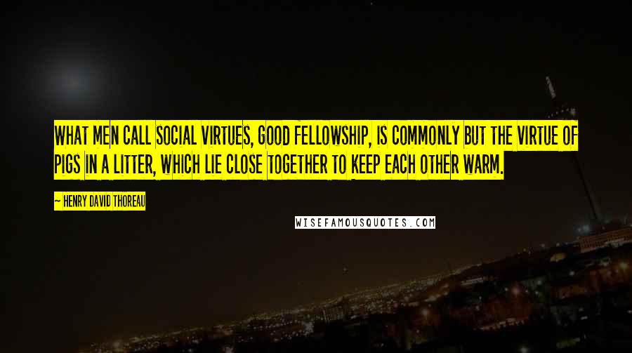 Henry David Thoreau Quotes: What men call social virtues, good fellowship, is commonly but the virtue of pigs in a litter, which lie close together to keep each other warm.