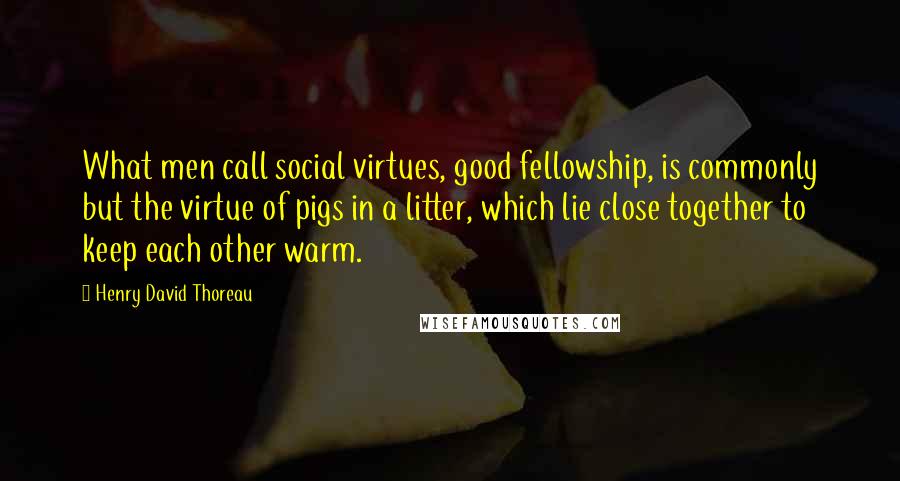 Henry David Thoreau Quotes: What men call social virtues, good fellowship, is commonly but the virtue of pigs in a litter, which lie close together to keep each other warm.