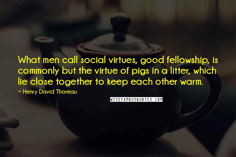 Henry David Thoreau Quotes: What men call social virtues, good fellowship, is commonly but the virtue of pigs in a litter, which lie close together to keep each other warm.