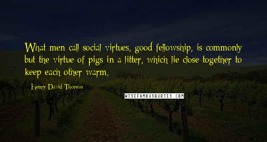 Henry David Thoreau Quotes: What men call social virtues, good fellowship, is commonly but the virtue of pigs in a litter, which lie close together to keep each other warm.