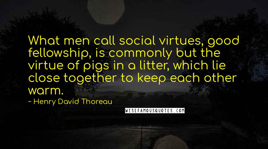 Henry David Thoreau Quotes: What men call social virtues, good fellowship, is commonly but the virtue of pigs in a litter, which lie close together to keep each other warm.