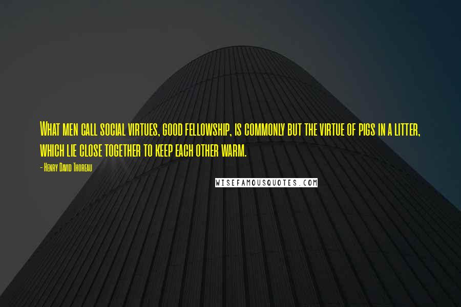 Henry David Thoreau Quotes: What men call social virtues, good fellowship, is commonly but the virtue of pigs in a litter, which lie close together to keep each other warm.