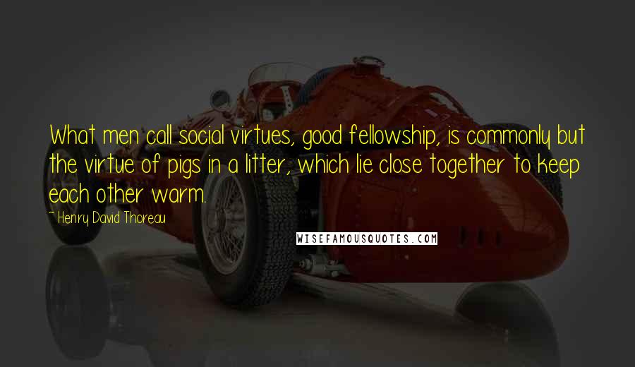 Henry David Thoreau Quotes: What men call social virtues, good fellowship, is commonly but the virtue of pigs in a litter, which lie close together to keep each other warm.
