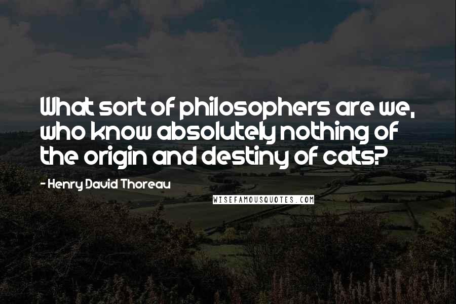Henry David Thoreau Quotes: What sort of philosophers are we, who know absolutely nothing of the origin and destiny of cats?