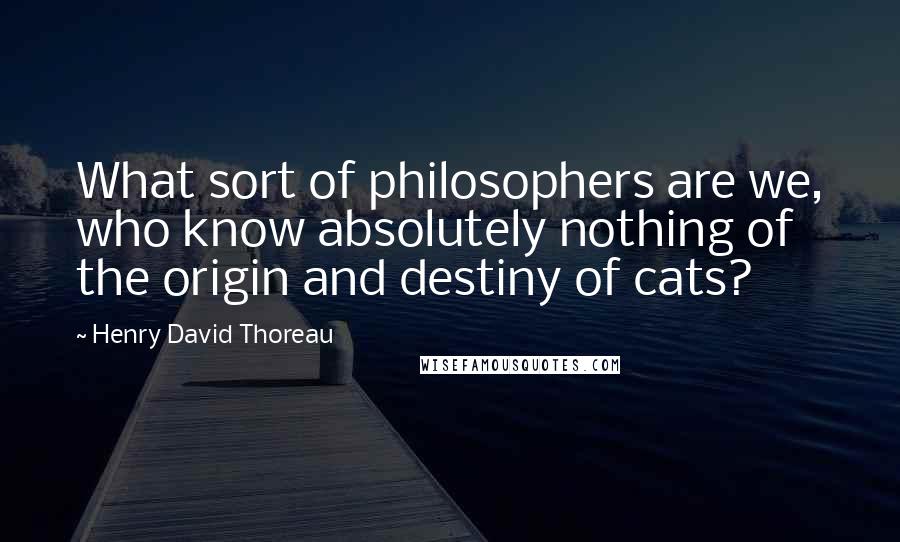 Henry David Thoreau Quotes: What sort of philosophers are we, who know absolutely nothing of the origin and destiny of cats?
